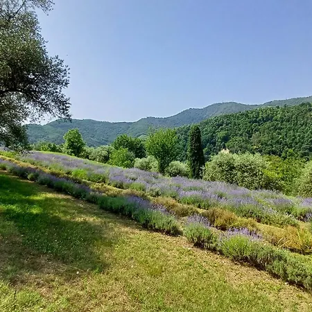 Gasthof Casa Maevi Galzignano Terme